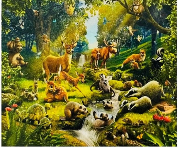 Hı Stone 5d Elmas Boncuk Taş Işleme Mozaik Goblen Kit 50x40cm