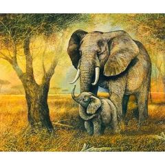 Hı Stone 5d Elmas Boncuk Taş Işleme Mozaik Goblen Kit 50x40cm