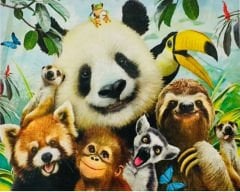 Hı Stone 5d Elmas Boncuk Taş Işleme Mozaik Goblen Kit 50x40cm