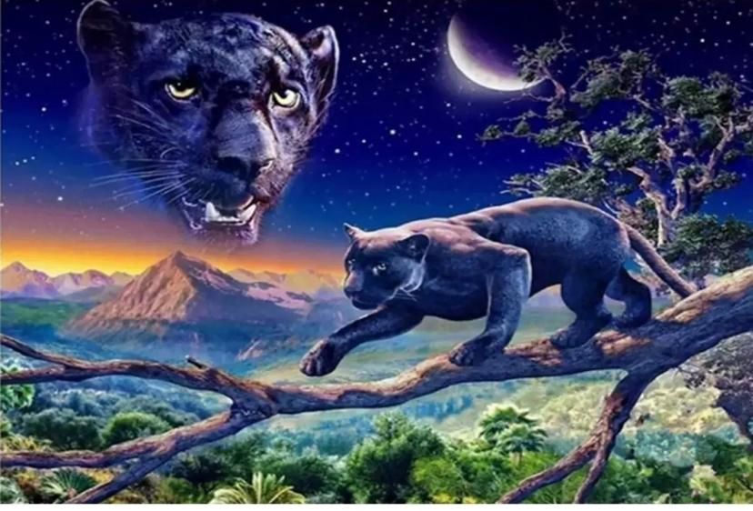 Hı Stone 5d Elmas Boncuk Taş Işleme Mozaik Goblen Kit 50x40cm