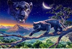 Hı Stone 5d Elmas Boncuk Taş Işleme Mozaik Goblen Kit 50x40cm