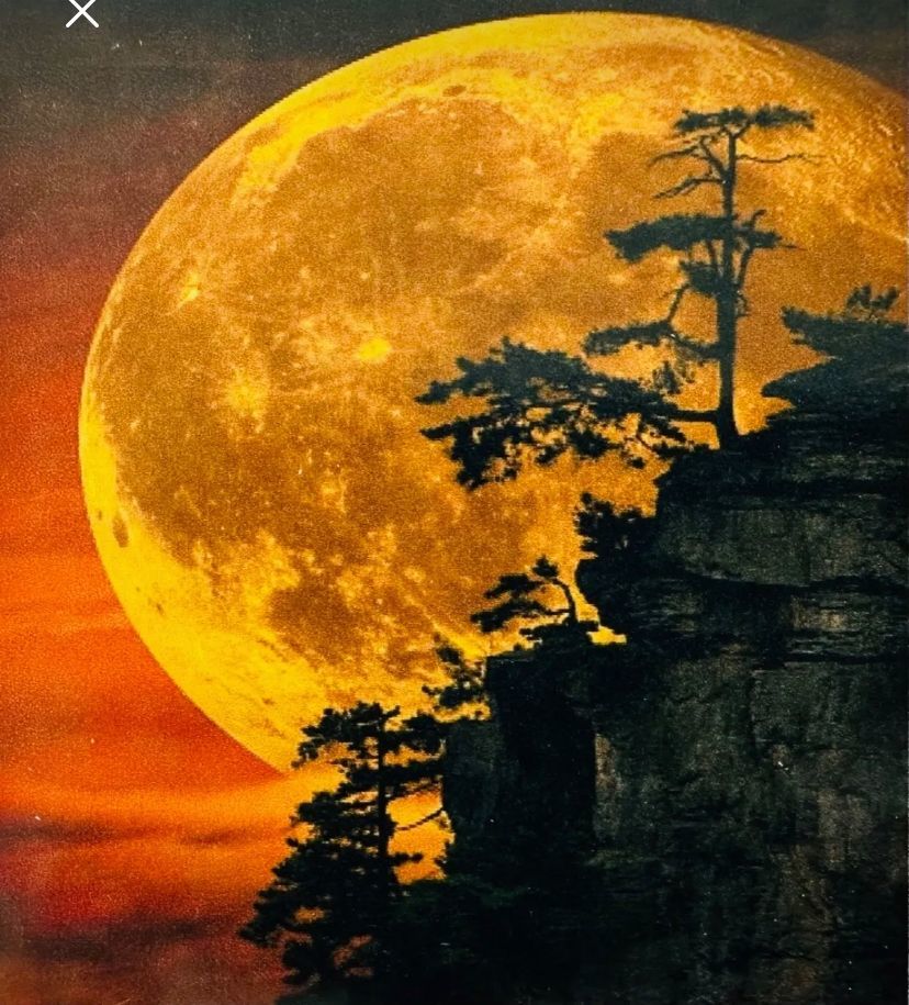 Hı Stone 5d Elmas Boncuk Taş Işleme Mozaik Goblen Kit 50x40cm