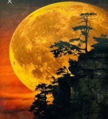 Hı Stone 5d Elmas Boncuk Taş Işleme Mozaik Goblen Kit 50x40cm