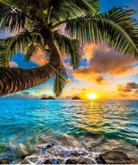 Hı Stone 5d Elmas Boncuk Taş Işleme Mozaik Goblen Kit 50x40cm